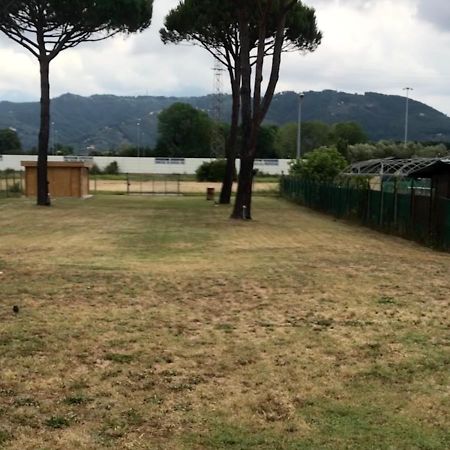 L'Alloggio Del Capitano Viareggio Zewnętrze zdjęcie