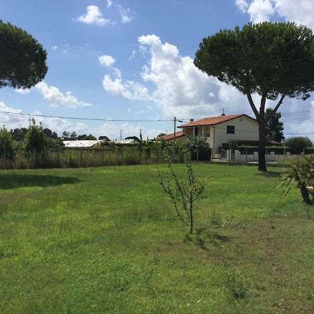 L'Alloggio Del Capitano Viareggio Zewnętrze zdjęcie